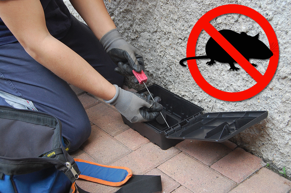 disinfestazione roditori trappola
