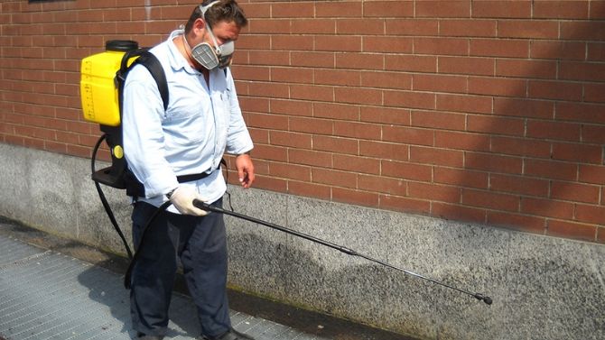 maya deblattizzazione